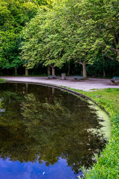 Wooden Bench Overlooking Water Pond Haagse Bos Forest Hague Netherlands — Stock Photo, Image