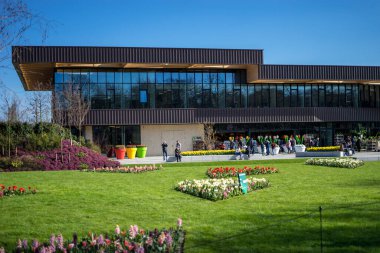 Çiçek bahçesi, Hollanda, Avrupa, çimlerle kaplı bir tarlanın tepesinde oturan bir grup sandalye.