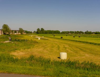 Hollanda, Giethoorn, saman körfezi yeşil bir tarlada yuvarlandı.
