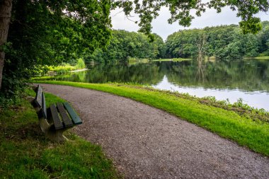 Haagse Bos 'ta bir gölet boyunca ahşap bir bankla yürüyüş yolu, Lahey' de orman, Hollanda, Avrupa