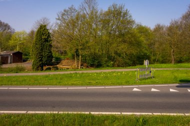 Hollanda, Lisse, Avrupa, sokağın kenarında çimen olan boş bir yol