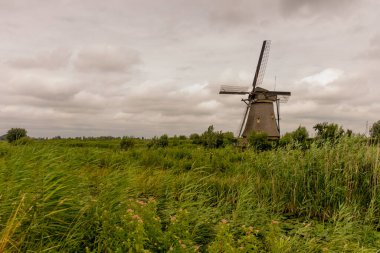 Hollanda, Rotterdam, Kinderdijk, bir kanal boyunca yemyeşil çimenlerin üzerindeki miras yel değirmeni