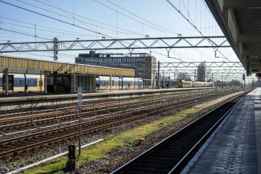 Çiçek bahçesi, Hollanda, Avrupa, tren raylarından geçen bir tren istasyonu.