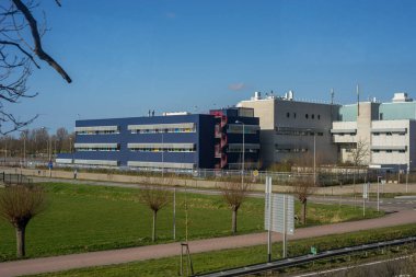 Çiçek bahçesi, Hollanda, Avrupa, bir tren çitin içinden geçiyor.