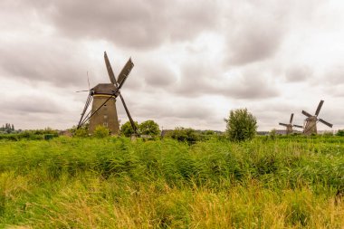 Hollanda, Rotterdam, Kinderdijk, bir kanal boyunca yemyeşil çimenlerin üzerindeki miras yel değirmeni