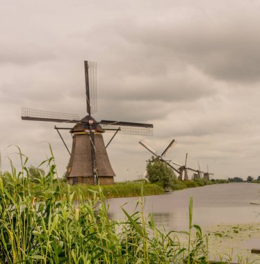 Hollanda, Rotterdam, Kinderdijk, bir kanal boyunca yemyeşil çimenlerin üzerindeki miras yel değirmeni