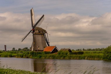 Hollanda, Rotterdam, Kinderdijk, bir kanal boyunca yemyeşil çimenlerin üzerindeki miras yel değirmeni