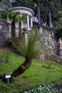 Avrupa, İtalya, Varenna, Como Gölü, Eski Bina 'da Büyüyen Planlar