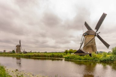 Hollanda, Rotterdam, Kinderdijk, bir kanal boyunca yemyeşil çimenlerin üzerindeki miras yel değirmeni
