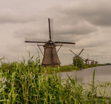Hollanda, Rotterdam, Kinderdijk, bir kanal boyunca yemyeşil çimenlerin üzerindeki miras yel değirmeni