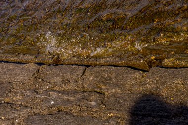 Avrupa, İtalya, Bellagio, Como Gölü, bir kayaya yakın çekim