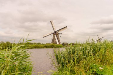 Hollanda, Rotterdam, Kinderdijk, bir kanal boyunca yemyeşil çimenlerin üzerindeki miras yel değirmeni