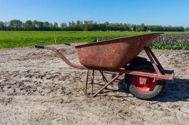 Hollanda, Lisse, Avrupa. Toprak yolda yük arabası çeken bir atın yakın çekimi.