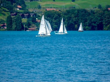 Switzerland, Lauterbrunnen, Europe,  SAILBOAT SAILING ON SEA BY TREES clipart