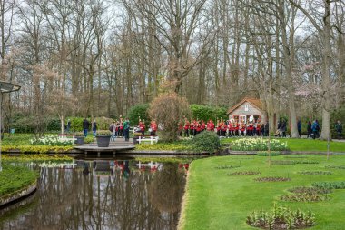 Çiçek bahçesi, Hollanda, Avrupa, ormandaki bir nehir üzerinde köprü.