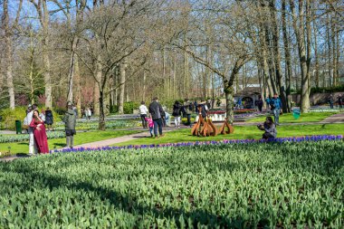 Flower garden, Netherlands, Europe, a group of people in a park clipart