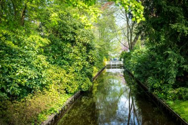Hollanda, Lisse, Ormandaki Kanal