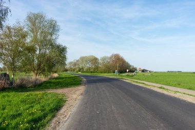 Hollanda, Sulak Topraklar, Maarken, Avrupa, yol kenarında ağaçların olduğu bir yol.