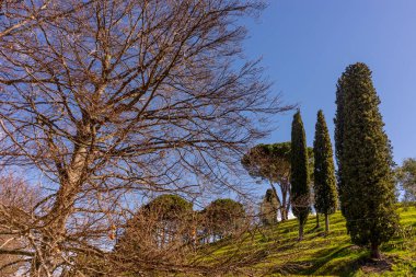 Avrupa, İtalya, Bellagio, Como Gölü, BÜYÜK MÜZİLERİNE AÇIKLAR AÇIKLARI