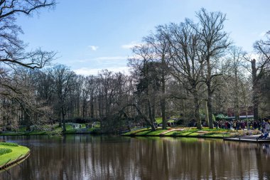 Çiçek bahçesi, Hollanda, Avrupa, ağaçlarla çevrili bir nehirde yeşil bir tekne.