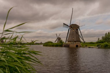 Hollanda, Rotterdam, Kinderdijk, bir kanal boyunca yemyeşil çimenlerin üzerindeki miras yel değirmeni