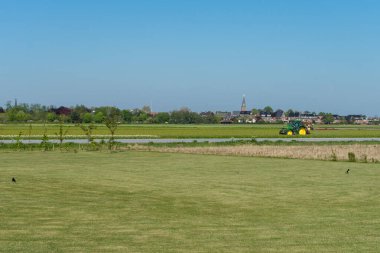 Hollanda, Lisse, Avrupa, büyük yeşil bir alan