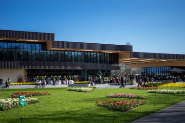 Çiçek bahçesi, Hollanda, Avrupa, çimlerle kaplı bir tarlanın tepesinde oturan bir grup sandalye.