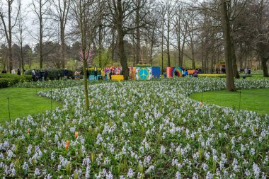 Çiçek bahçesi, Hollanda, Avrupa, bir grup insan bir ağacın önünde.