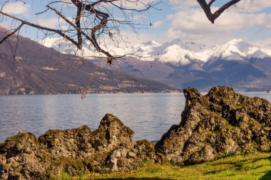 Avrupa, İtalya, Bellagio, Como Gölü, arka planda dağ olan bir su kütlesinin yanında bir ağaç.