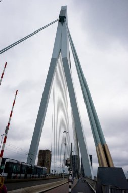 Hollanda, Rotterdam, Erasmus Köprüsü