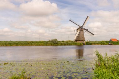 Hollanda, Rotterdam, Kinderdijk, bir kanal boyunca yemyeşil çimenlerin üzerindeki miras yel değirmeni