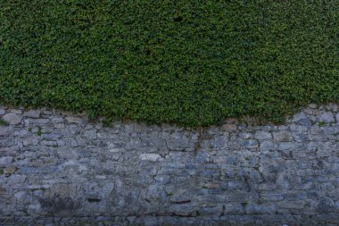 Avrupa, İtalya, Lecco, Como Gölü, bir tuğla duvara yakın çekim