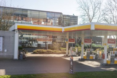 Çiçek bahçesi, Hollanda, Avrupa, gündüzleri bir dükkan cephesi