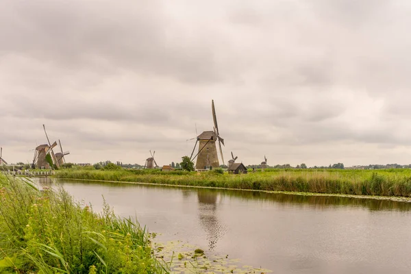 Países Bajos Rotterdam Kinderdijk Molino Viento Patrimonio Por Encima Hierba — Foto de Stock