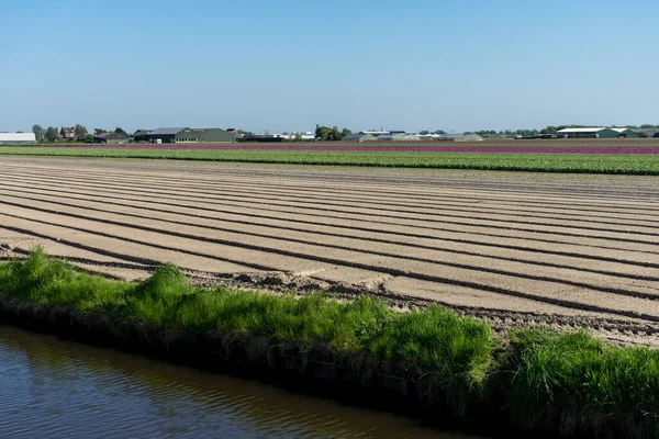 Netherlands,Lisse,Europe, a train traveling down train tracks near a field