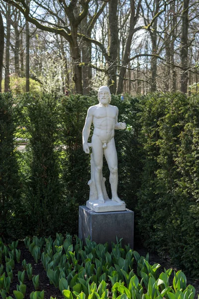 Jardín Flores Países Bajos Europa Una Estatua Una Persona Pie — Foto de Stock