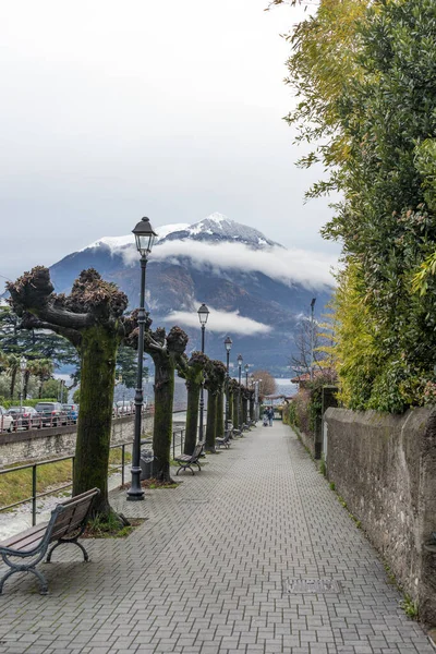 意大利 瓦伦纳 科莫湖 一条长椅 旁边有一棵树 云彩覆盖着高山 — 图库照片