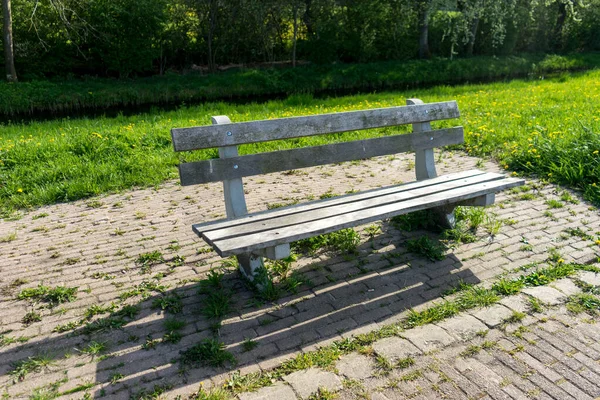 湿地长椅 — 图库照片