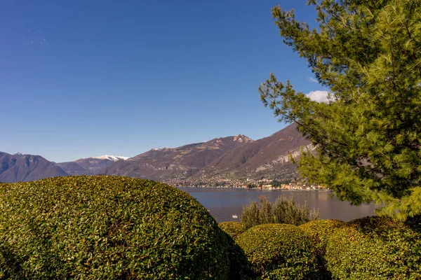 Europa Itália Bellagio Lago Como Uma Árvore Com Uma Montanha — Fotografia de Stock