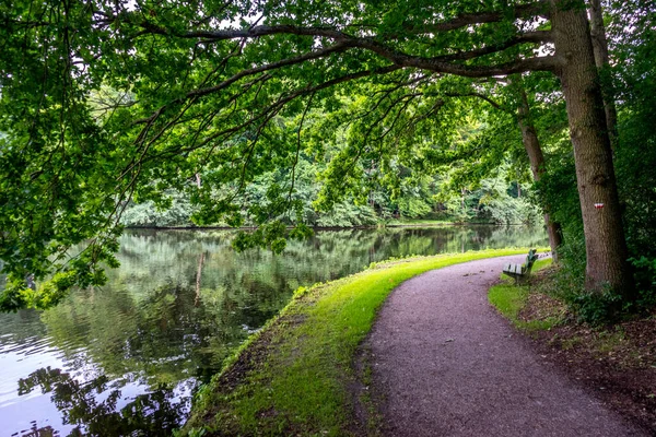 Wandelpad Langs Een Vijver Met Bankje Bij Haagse Bos Bos — Stockfoto