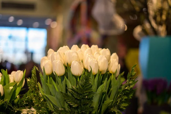 Jardín Flores Países Bajos Europa Primer Plano Una Flor — Foto de Stock