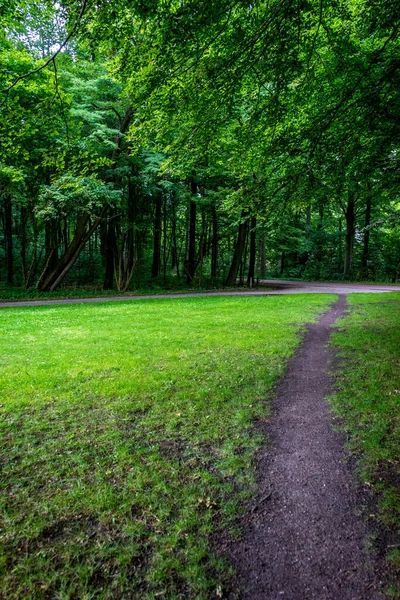 Enger Schlammiger Pfad Umgeben Von Gras Haagse Bos Wald Den — Stockfoto