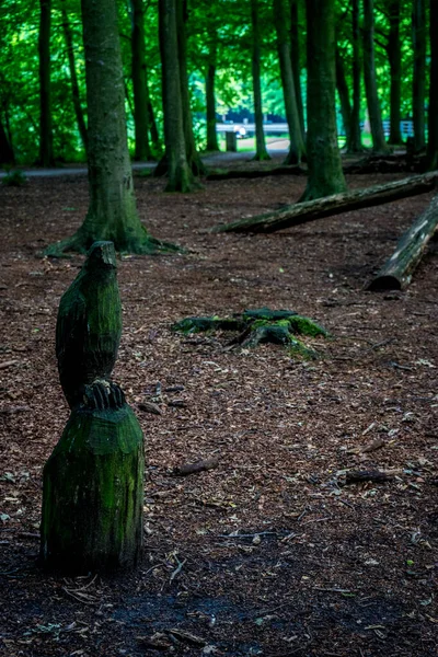 Träskulptur Uggla Ett Träd Vid Haagse Bos Skog Haag Nederländerna — Stockfoto