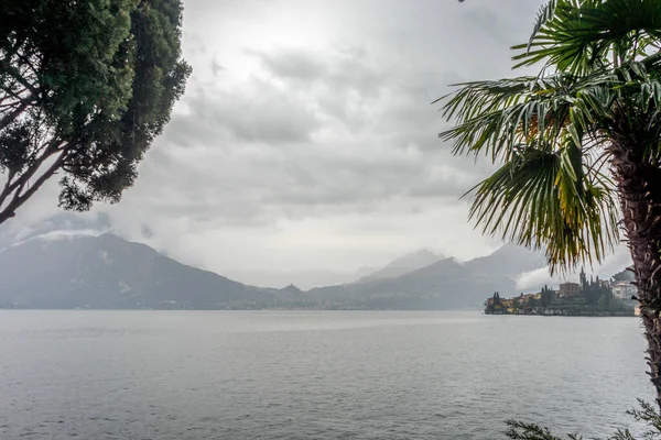 Europa Itália Varenna Lago Como Uma Árvore Lado Corpo Água — Fotografia de Stock