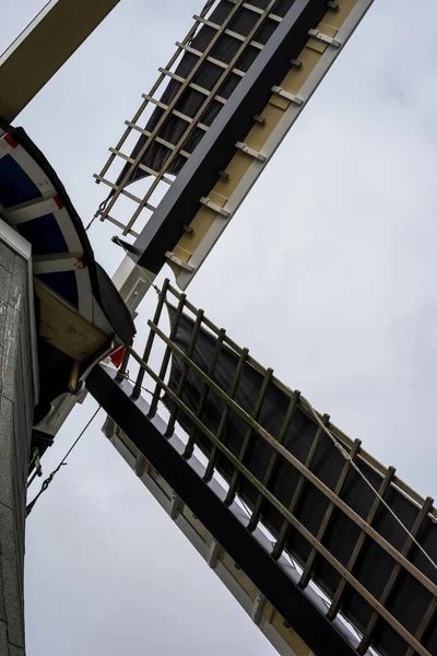 Blumengarten Niederlande Europa Ein Großer Hoher Turm Mit Einer Uhr — Stockfoto