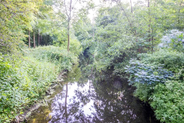 Vodní Nádrž Haagse Bos Les Haagu Nizozemsko Evropa — Stock fotografie