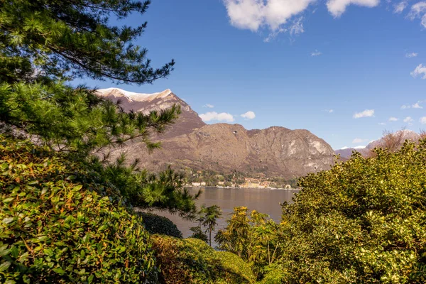 Europa Itália Bellagio Lago Como Uma Árvore Com Uma Montanha — Fotografia de Stock