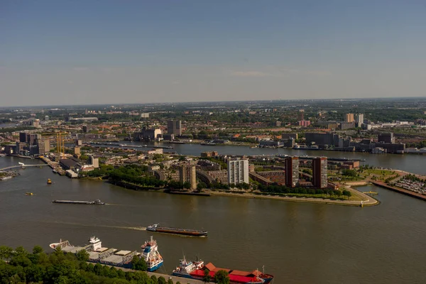 Niederlande Rotterdam Ein Kleines Boot Einem Gewässer Mit Der Skyline — Stockfoto