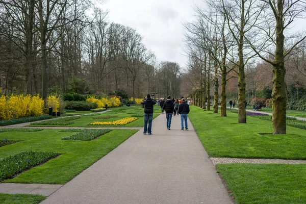 欧洲的花园 一个人在公园的小径上散步 — 图库照片