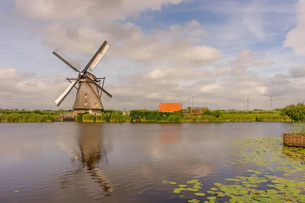 Países Bajos Rotterdam Kinderdijk Patrimonio Molino Viento Por Encima Hierba — Foto de Stock